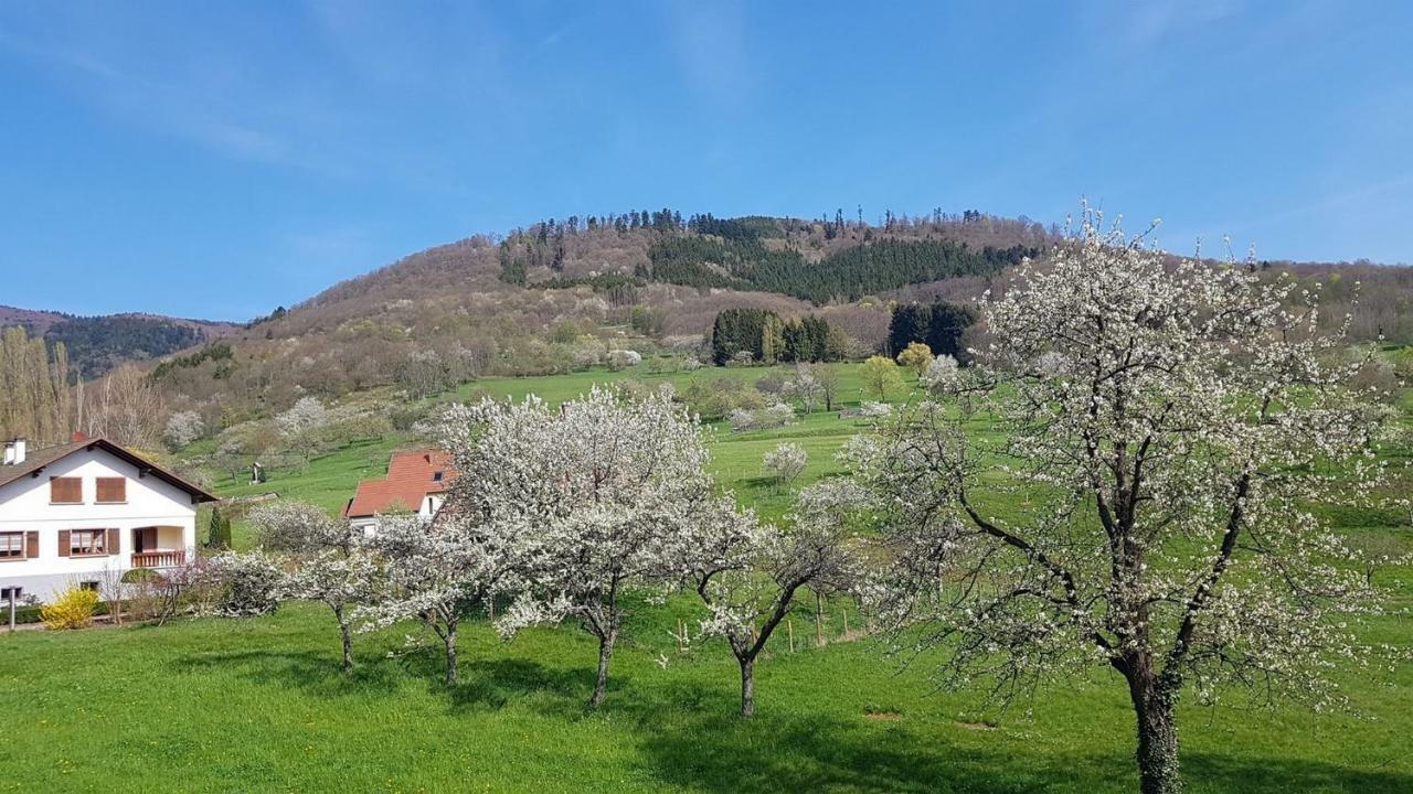Le Breit Maison De Charme Avec Sa Dependance Breitenbach Екстер'єр фото