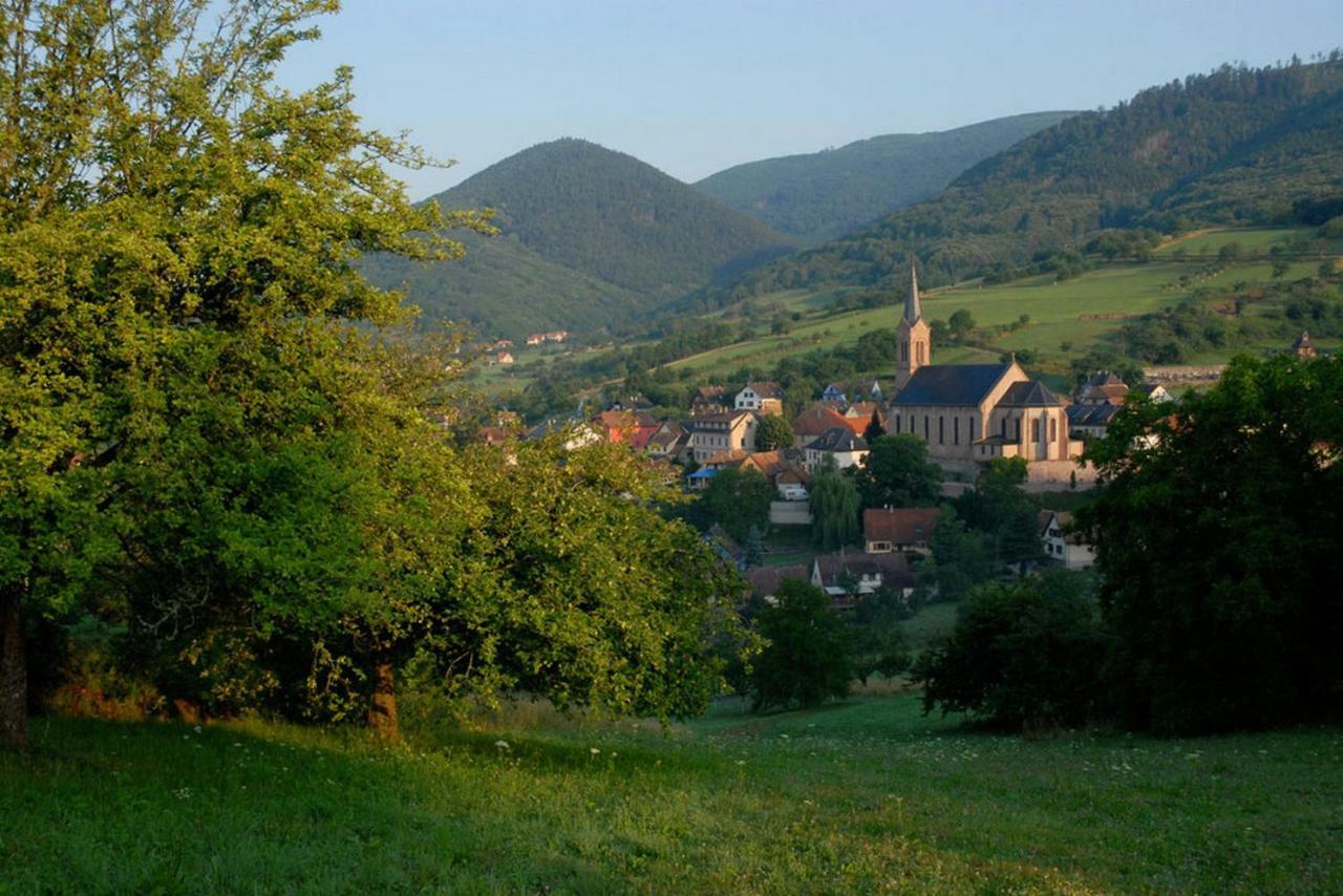 Le Breit Maison De Charme Avec Sa Dependance Breitenbach Екстер'єр фото
